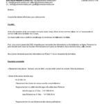 9 – comptable constate le 5 janvier 2010 que connectic a envoyé 26.235 USD à Emergent_Page1