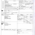 Envoi d’EMERGENT à CONNECTIC dossier douanes françaises EX1 2009_Page9